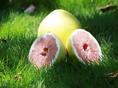 黎川胭脂柚出彩 产业推广活动掀热潮 黎川胭脂柚出彩 产业推广活动掀热潮
