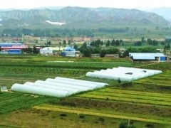 青海：休闲旅游农业实现农户增收，乡村更美的愿景