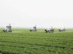 黑龙江集贤县：托管服务助力农业生产更数字化，促进农户增收！